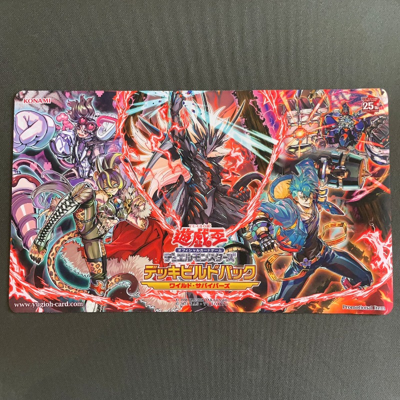 600x350mm Yu-Gi-Oh！DIY WCQ Reg - Board Game Gi 评论和价格